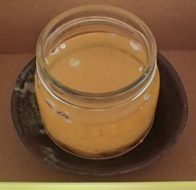 Ginger Beer Plant, day 5 Wild Yorkshire