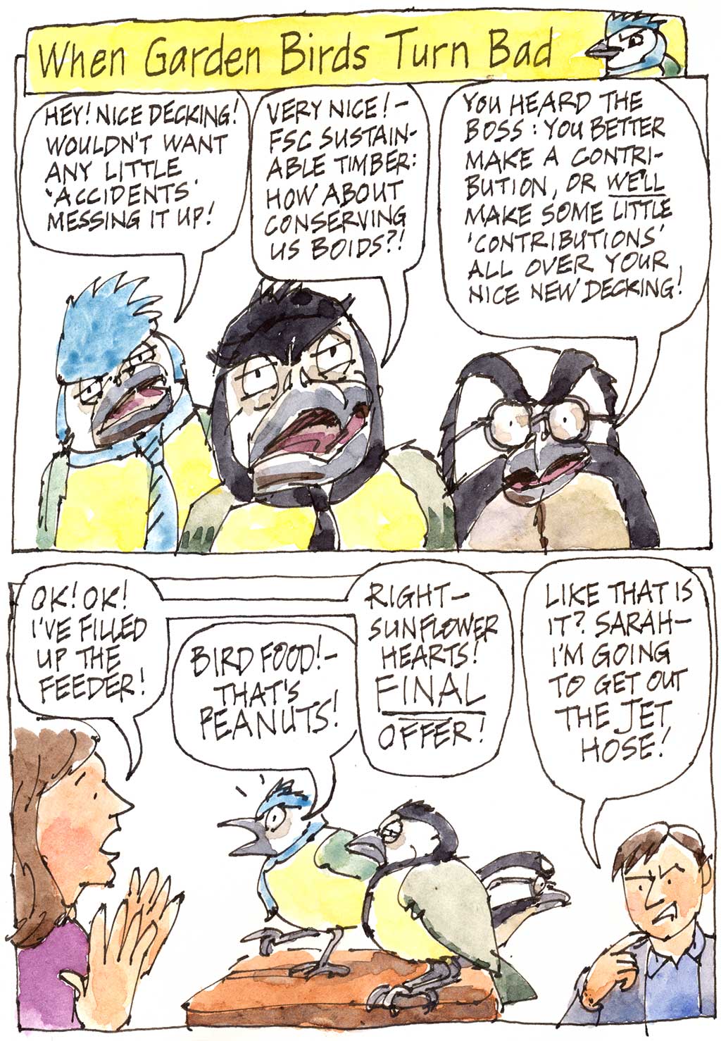 When Garden Birds Turn Bad Wild Yorkshire