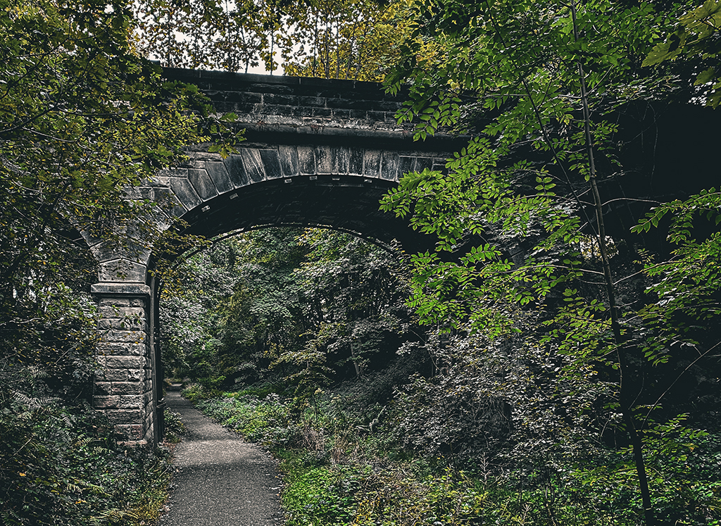Last Train to Dewsbury Wild Yorkshire