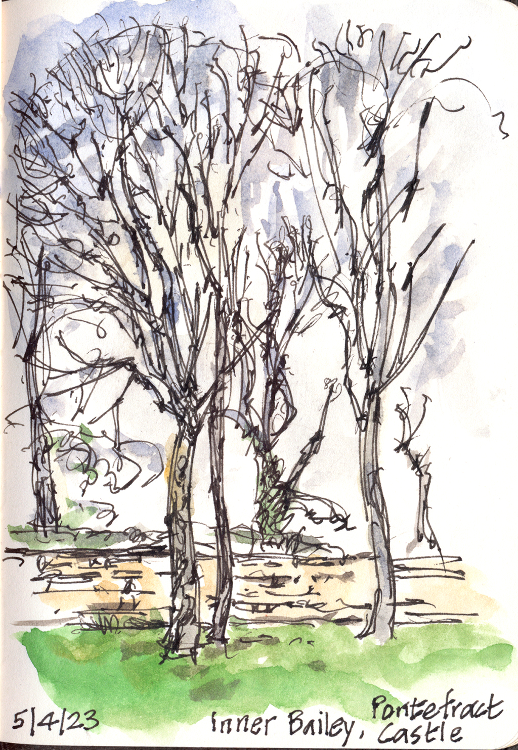 Bailey Trees Wild Yorkshire