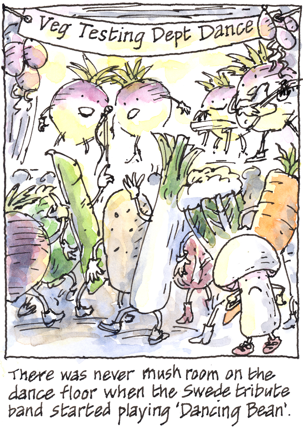 Night Owls and Dancing Beans Wild Yorkshire